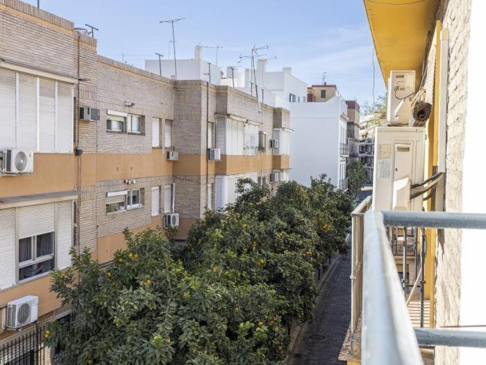 Pureza Dreams De Sevilla Oasis En Triana المظهر الخارجي الصورة